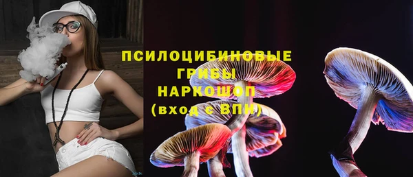 бошки Гусь-Хрустальный