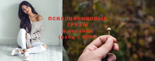 прущая мука Дмитровск