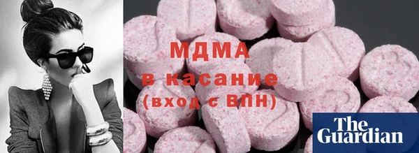 прущие грибы Дмитриев