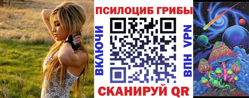 Купить закладки  Армавир  Псилоцибиновые грибы GOLDEN TEACHER 
